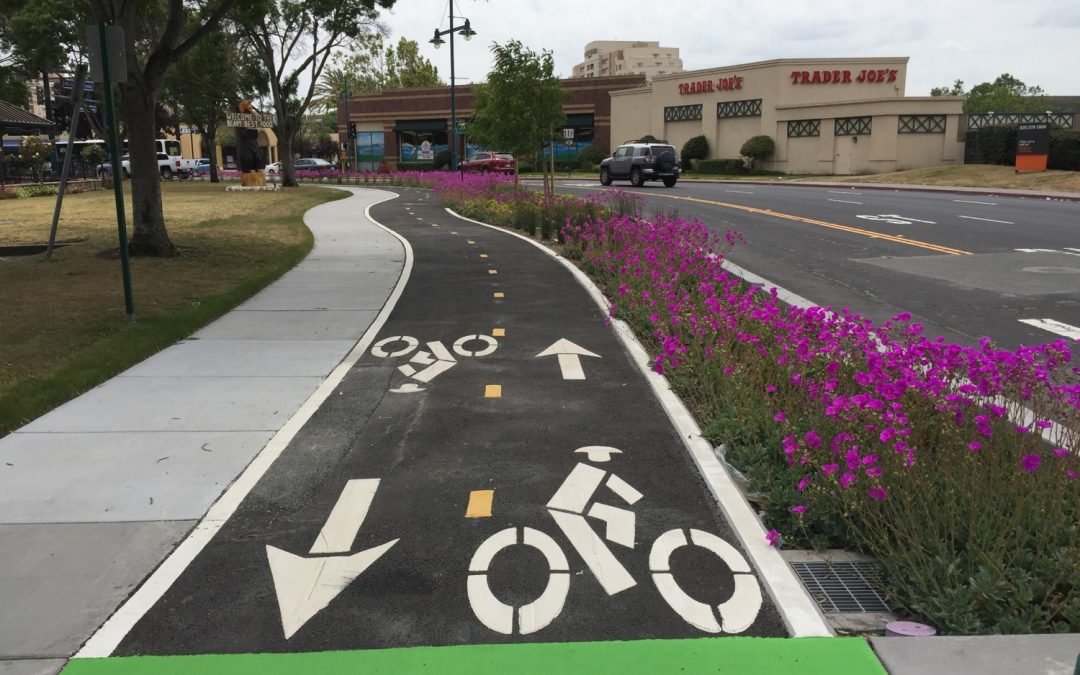 Ann Arbor’s 10,000+ Bikeway Trips: An Inspiring Milestone in Sustainability and Active Lifestyles