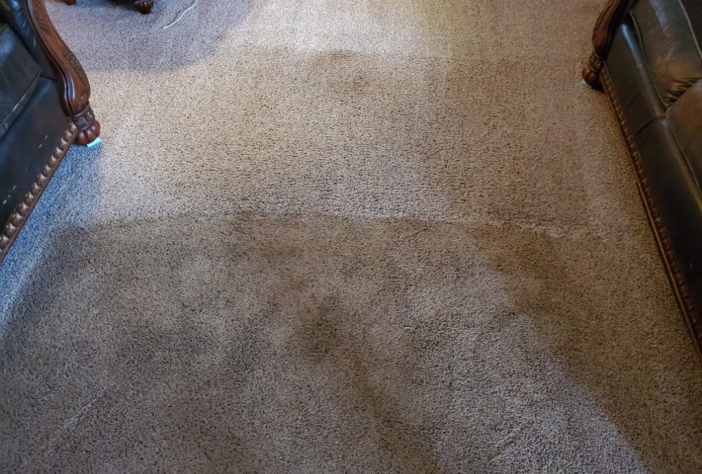 The Benefits of Choosing Healthy Carpets for Your Home