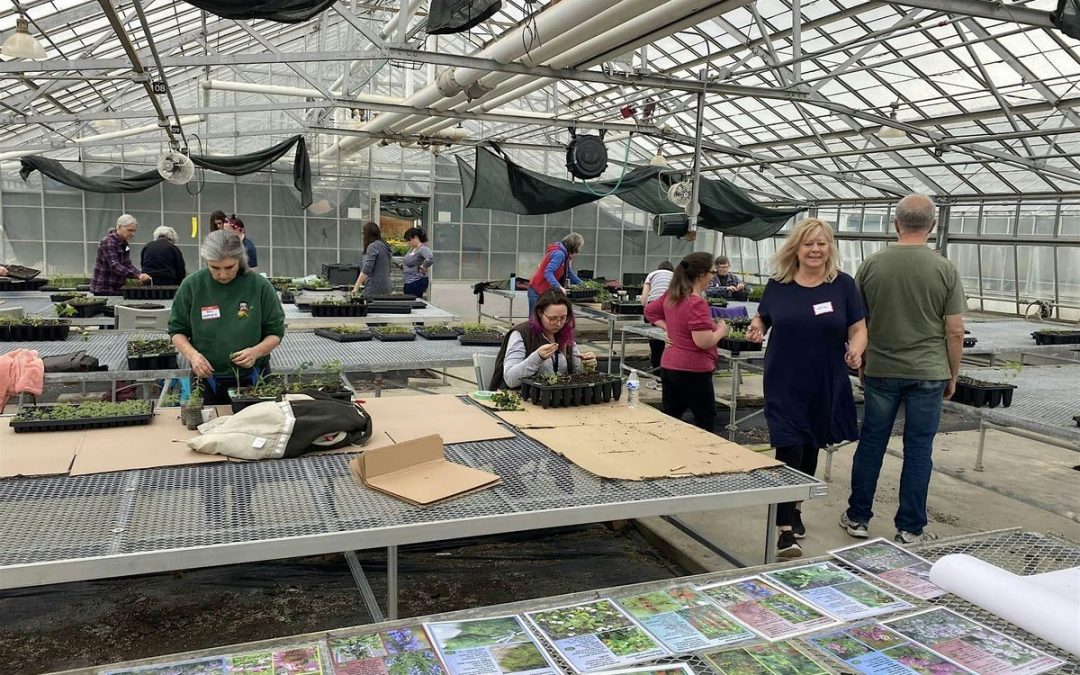 Seeds To Community April Up-Potting: A Green Thumbs’ Gathering at Matthaei Botanical Gardens